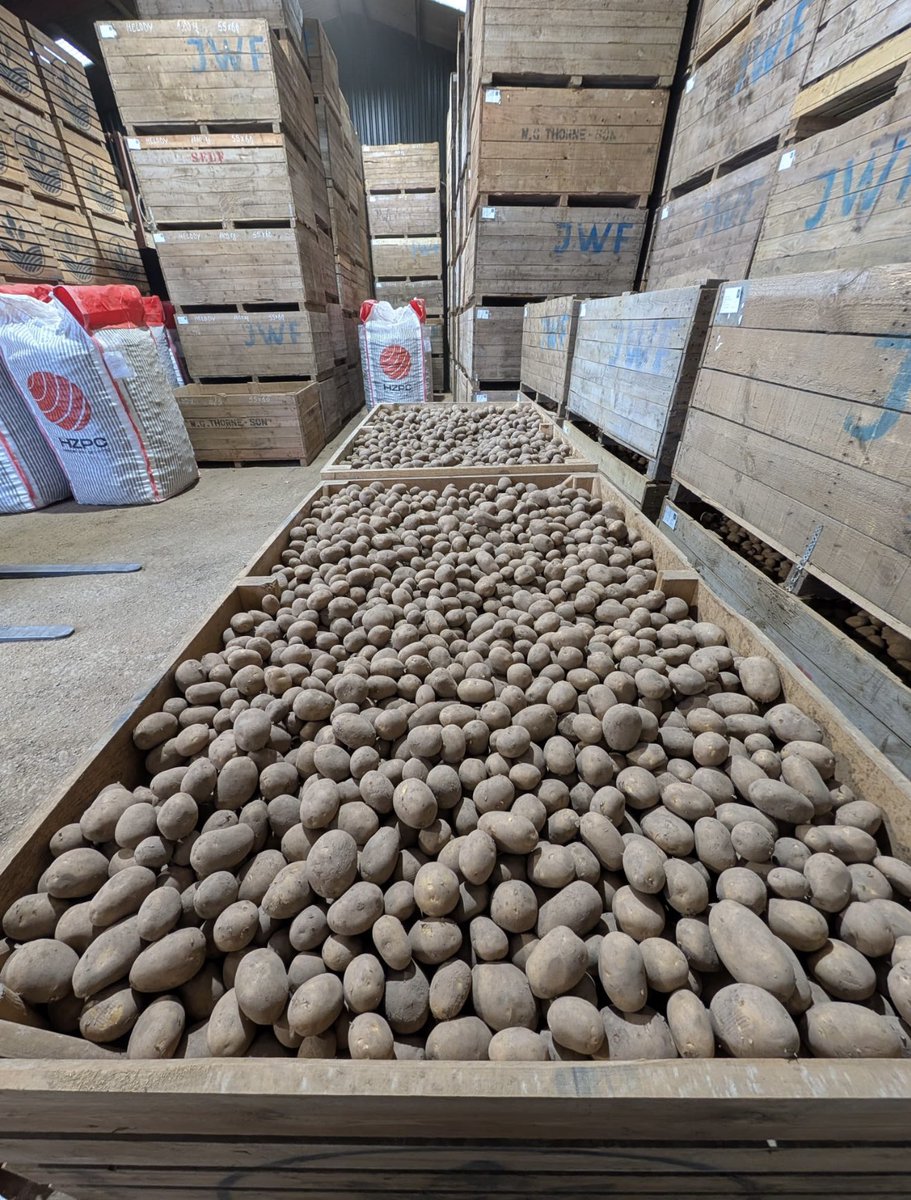 Jason Brain tweet media