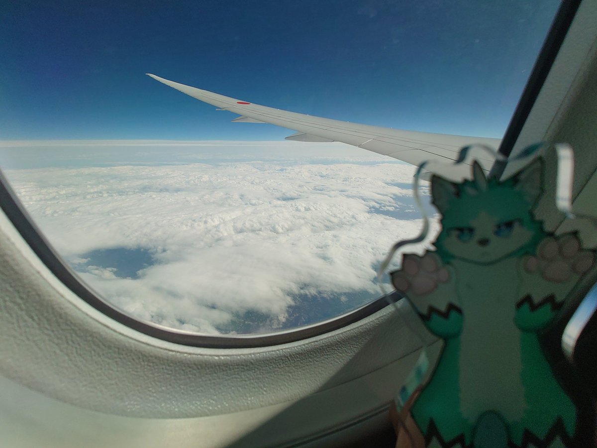 あーーーミイヌ、雲の上