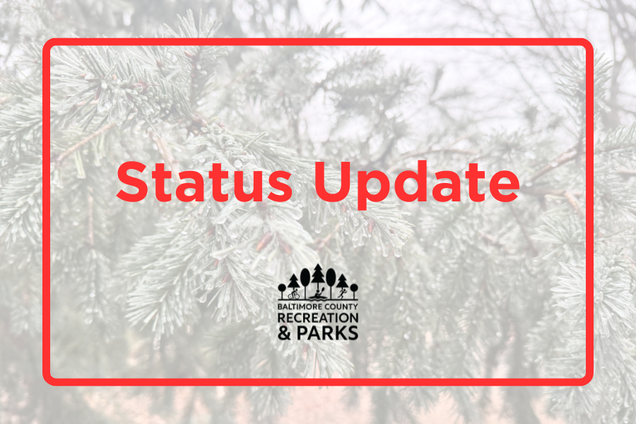 BaltCoRec tweet media