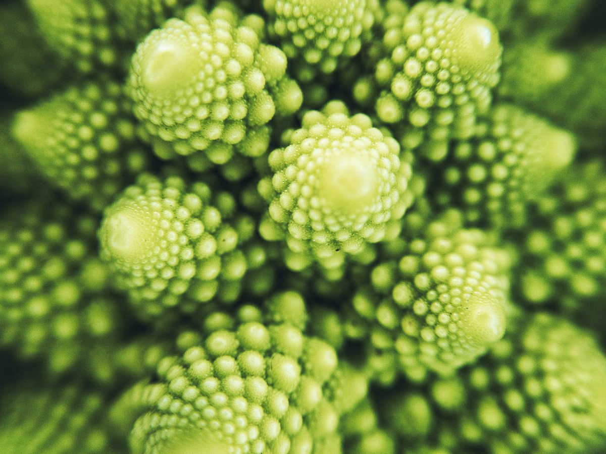 エン/はばねろ tweet media