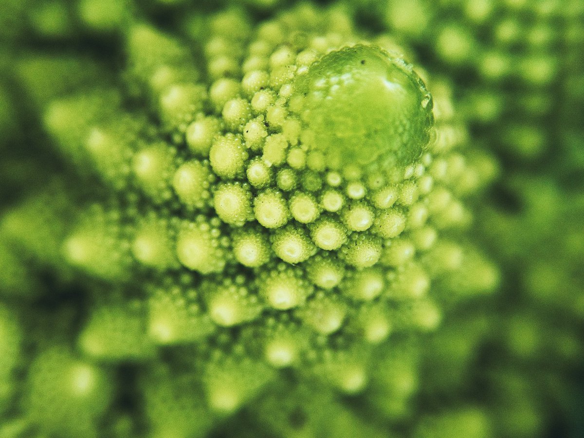 エン/はばねろ tweet media