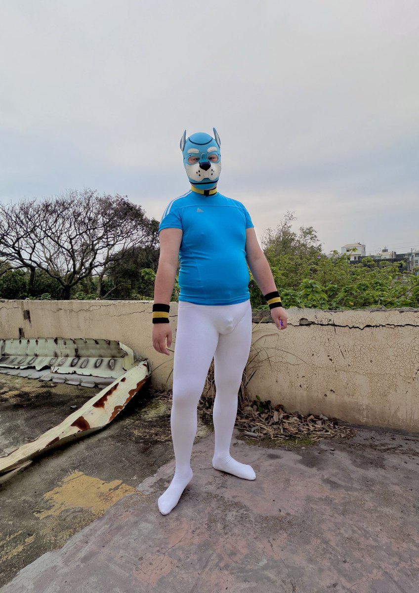 褲襪狗 tweet media