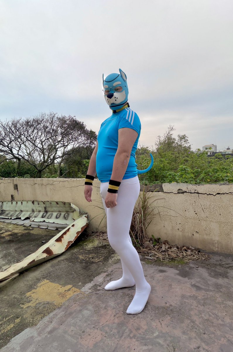 褲襪狗 tweet media