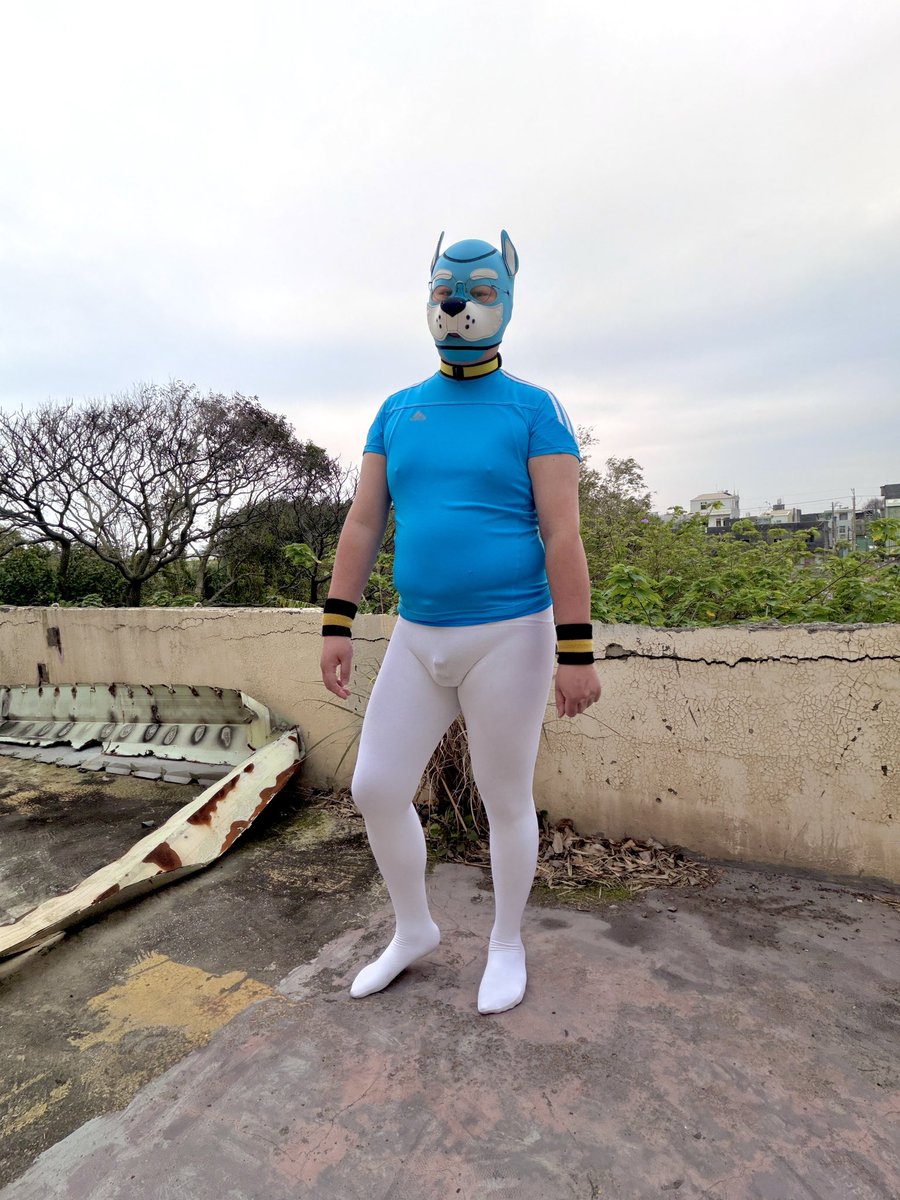 褲襪狗 tweet media