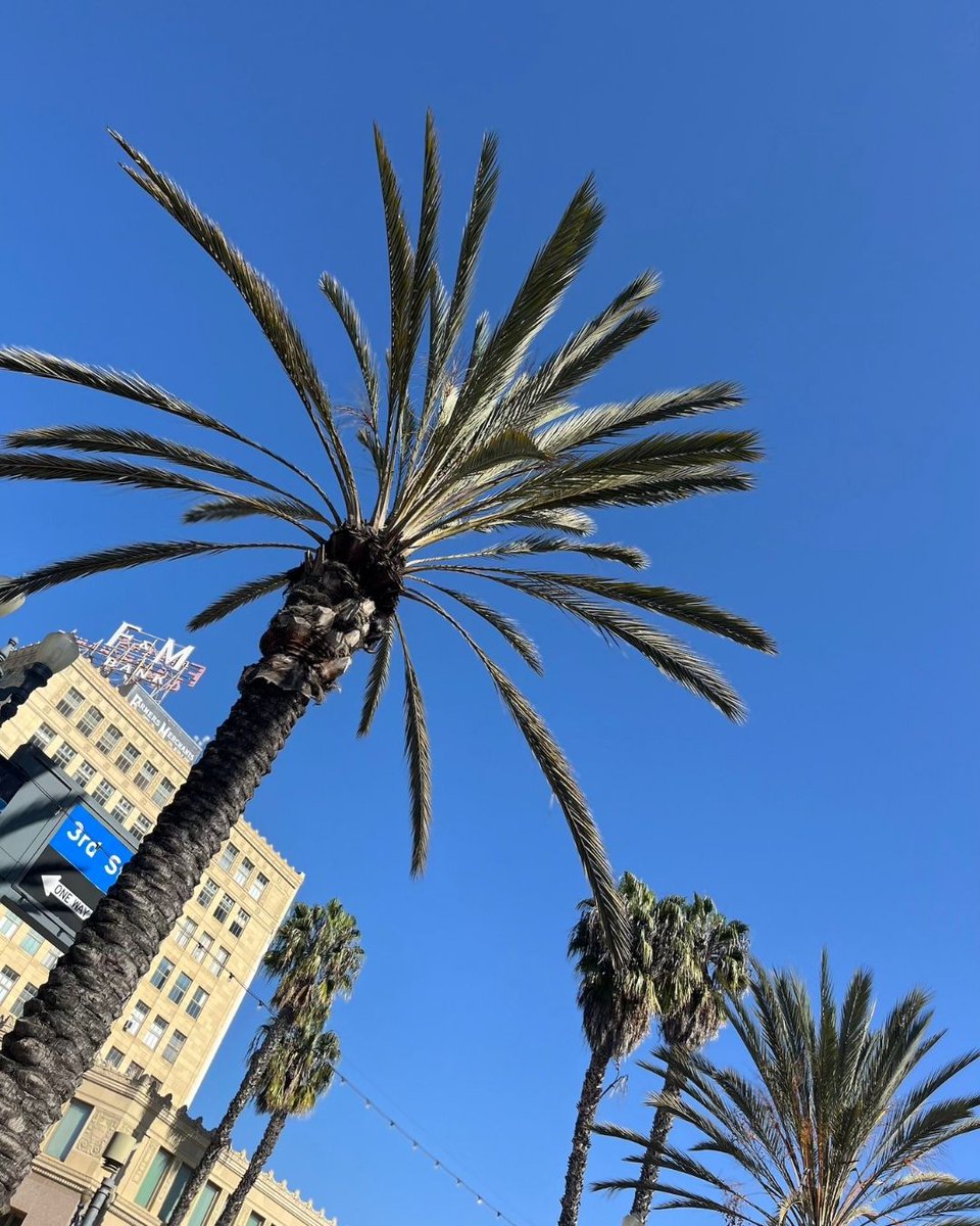 Tyler Rasch tweet media