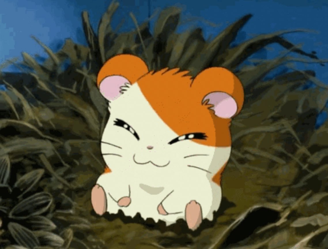 피크닉🧃 (@thenightpicnic) on Twitter photo 