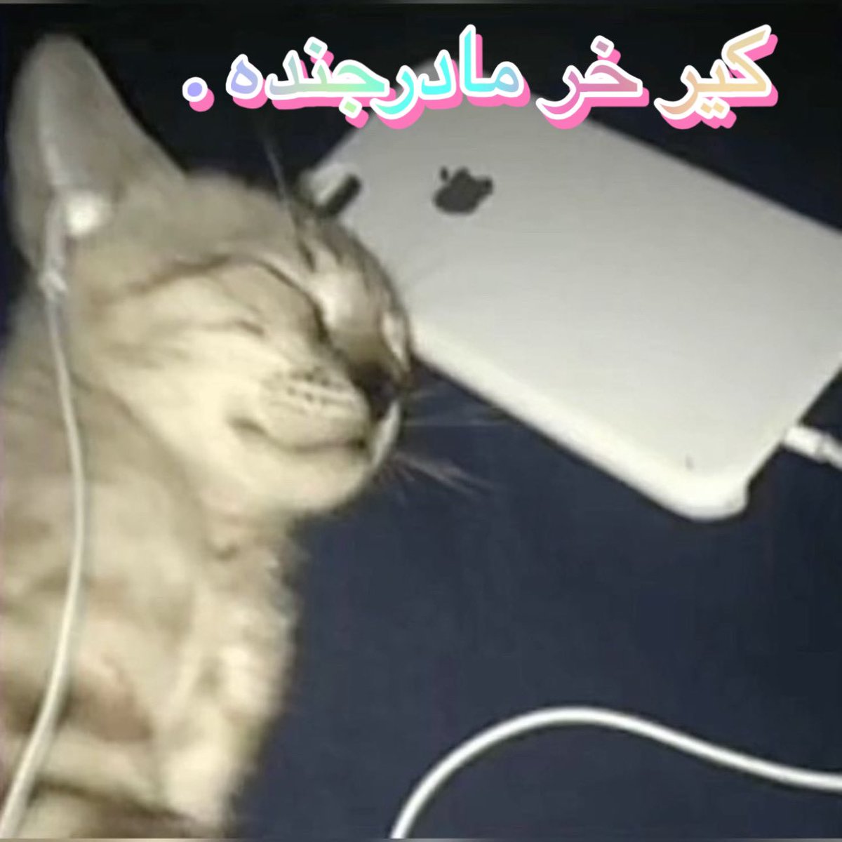 mitooolixx🍒 (@mitooolixx) on Twitter photo 