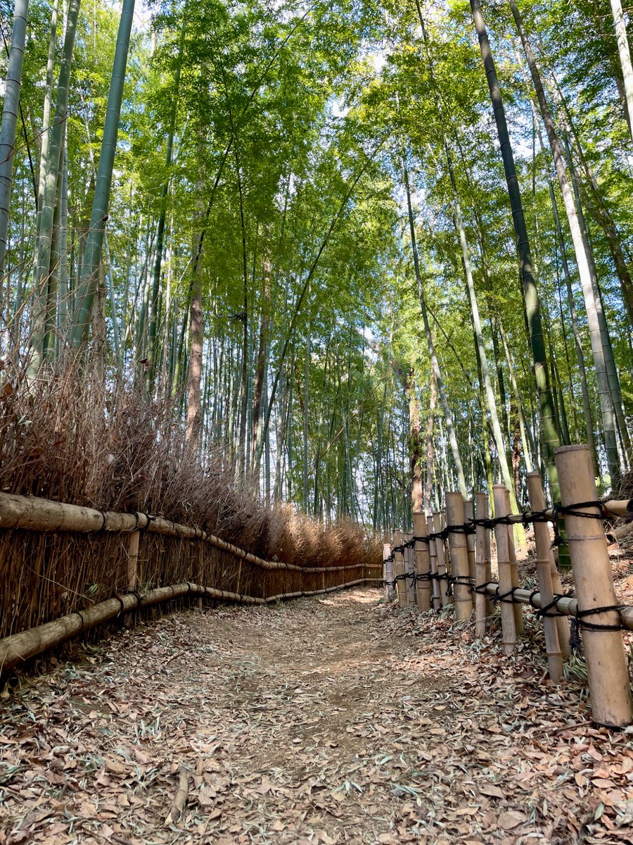 りんりん (@rinrin4919) / Posts / X