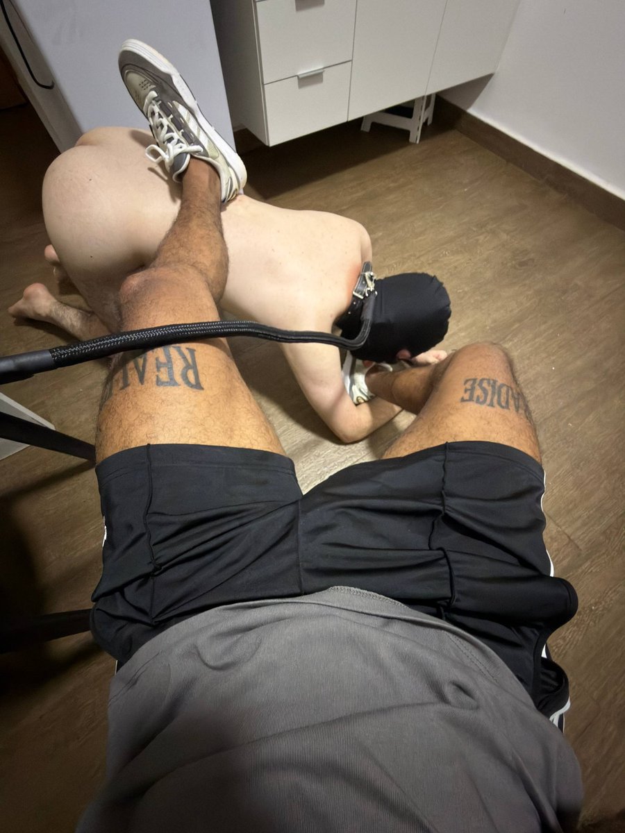 Alpha Pitter 👑 tweet media