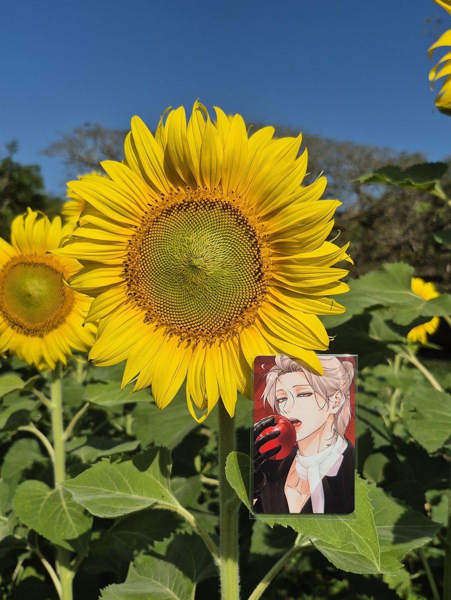 💫💛✨　　    💫💛✨
🌻　　  💫　💛　　    🌻
💫           you are            💛　
　🌻     my love.        🌻
　　💛                  💛
　　　   ✨　  💫
　        　 　🌻
<a href="/DanRim_/">단림 🍓</a> #미혹의경계 #Lezhin_FeeltheRed