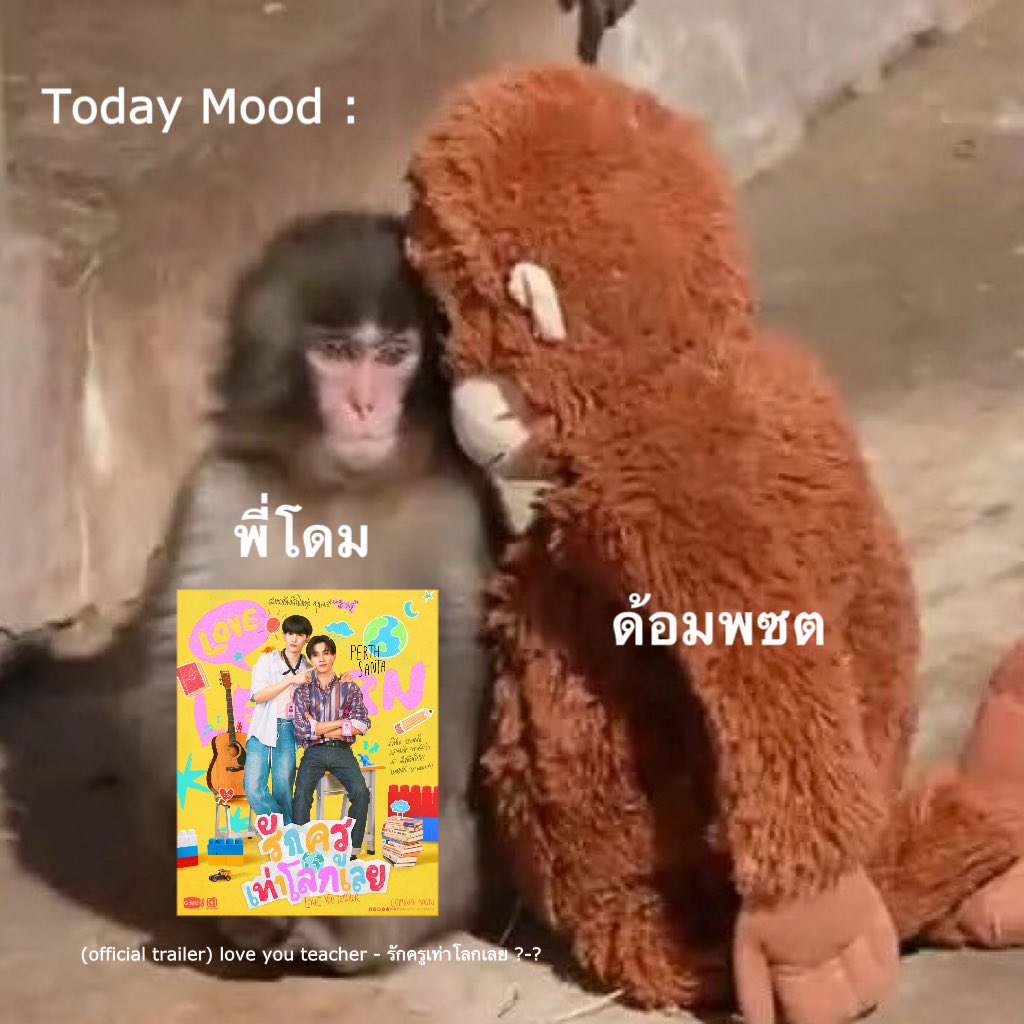 ไม่มีใคร

ด้อมพซต :
เทลเลอร์รักครูมาวันนี้ ใช่ มั้ย พี่ ???