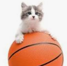 Intrusive__Mind's tweet photo. @mike_daddino Nike has turned the NBA into a pussy sport. https://t.co/jVehzmjkdf