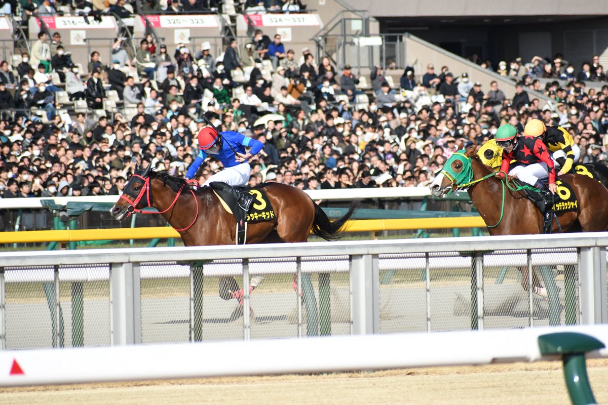 masaka_Photo's tweet photo. 2/22 東京9R
ラッキーキッド
イッテラッシャイ https://t.co/VrwaRTlU1H