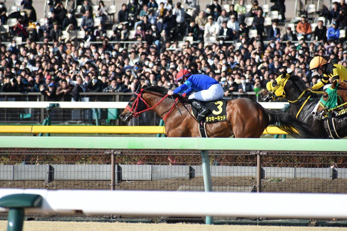 masaka_Photo's tweet photo. 2/22 東京9R
ラッキーキッド
イッテラッシャイ https://t.co/VrwaRTlU1H