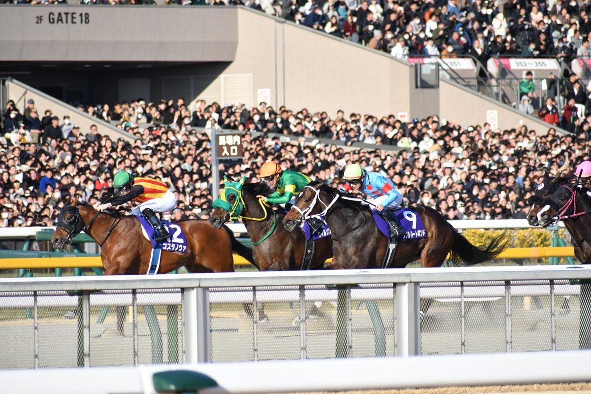 masaka_Photo's tweet photo. 2/22 東京11R
フェブラリーステークス
コスタノヴァ
ウィルソンテソーロ
ダブルハートボンド https://t.co/QKxcvDjW24