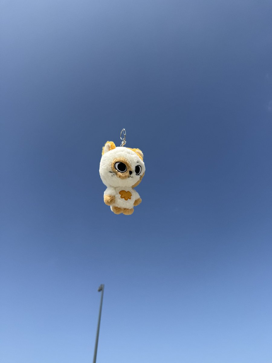 pom_____light's tweet photo. 青空ケピ https://t.co/iThbkLVHS6