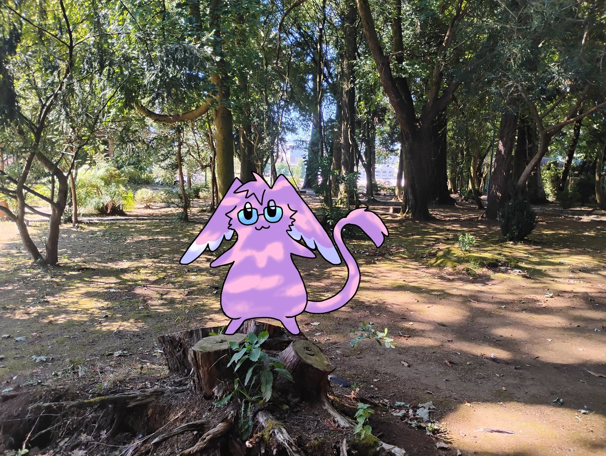 Susurro9 tweet media