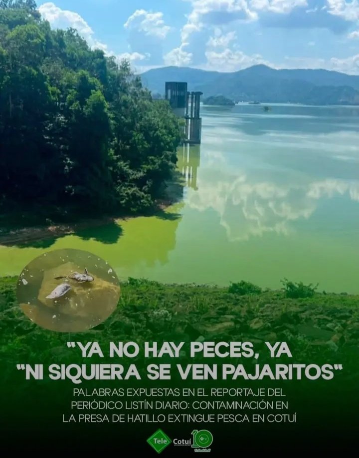 ¿Y las leyes de medio ambiente para cuándo? #GobiernoRD #MedioAmbienteRD #MediosRD #CongresoRD. Parece que a este gobierno no le importa nada de lo que está sucediendo en su gestión con nuestros recursos naturales. ¡Exigimos respuestas!