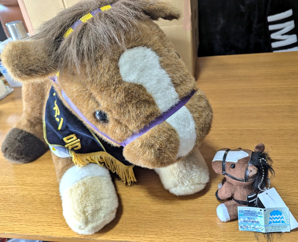 うおおおおマヤノトップガンのぬいぐるみ届い……でっかーーーーい