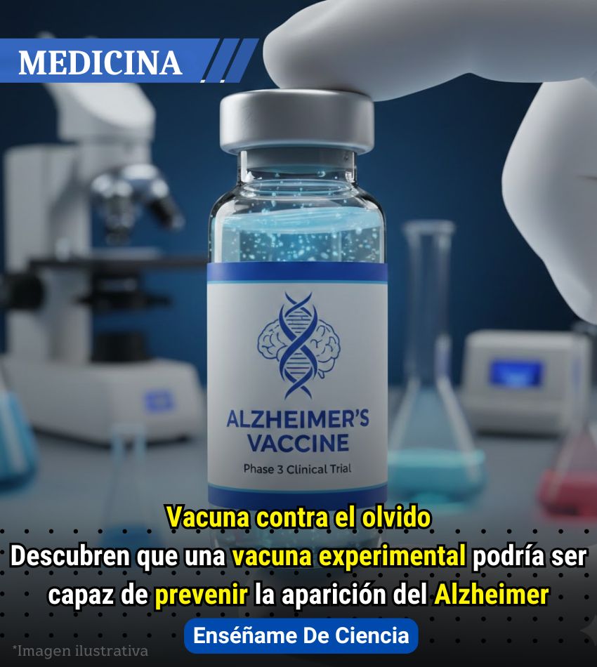 EnsedeCiencia's tweet photo. 🚨El estudio se publicó en Alzheimer’s and Dementia: The Journal of the Alzheimer’s Association. La investigación fue dirigida por Kiran Bhaskar, PhD, profesor del Departamento de Genética Molecular y Microbiología de la Facultad de Medicina de la Universidad de Nuevo México. https://t.co/lgD94vfQic