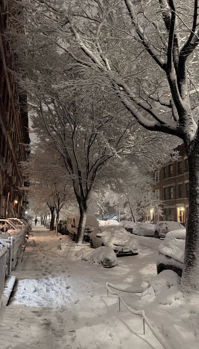 Snow blankets Downtown Brooklyn during the blizzard