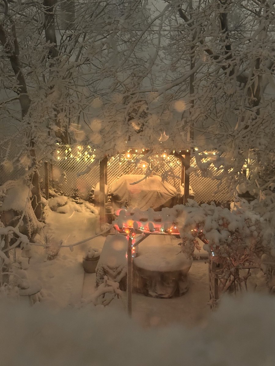 Lorirod56's tweet photo. It is pretty though .. #snow https://t.co/nbhbskfiS6