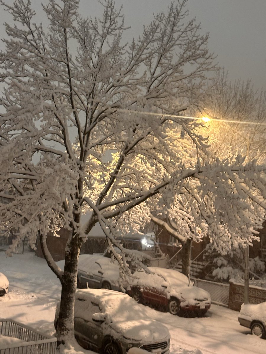 Lorirod56's tweet photo. It is pretty though .. #snow https://t.co/nbhbskfiS6