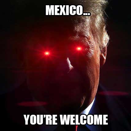 David Wolf tweet media