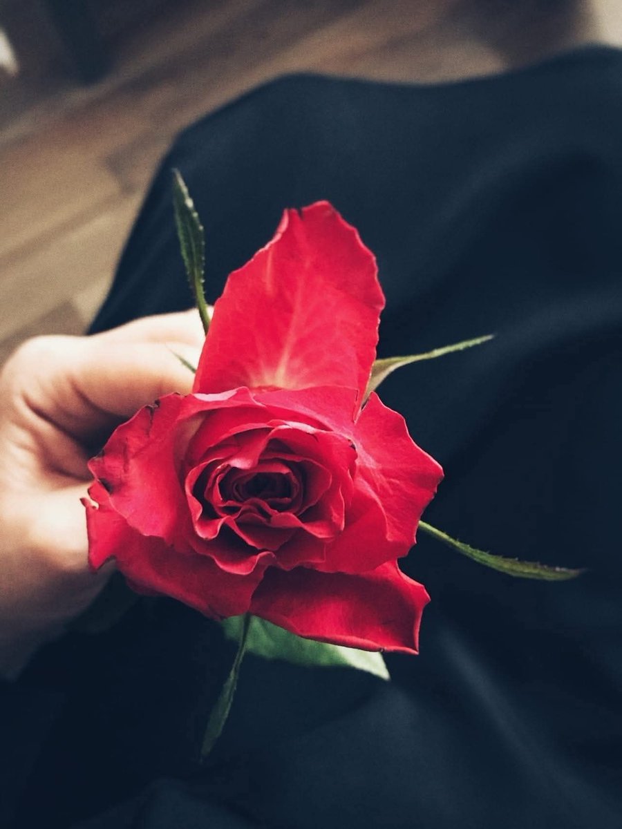 "Kimsenin kapısına, yamacına; derdinle, öfkenle, küçümsemeyle, haset ve kinle varma; 
Hep dostlukla, inşirahla var. 

Kendinle dost olup da öyle gir gülşene..
Hiçbir çiçeğin rengi, hazanından incinmesin.!.."     

Kemal Sayar

#sahur
#pazartesi
#hayırlısabahlar
#mutluhaftalar 🌹