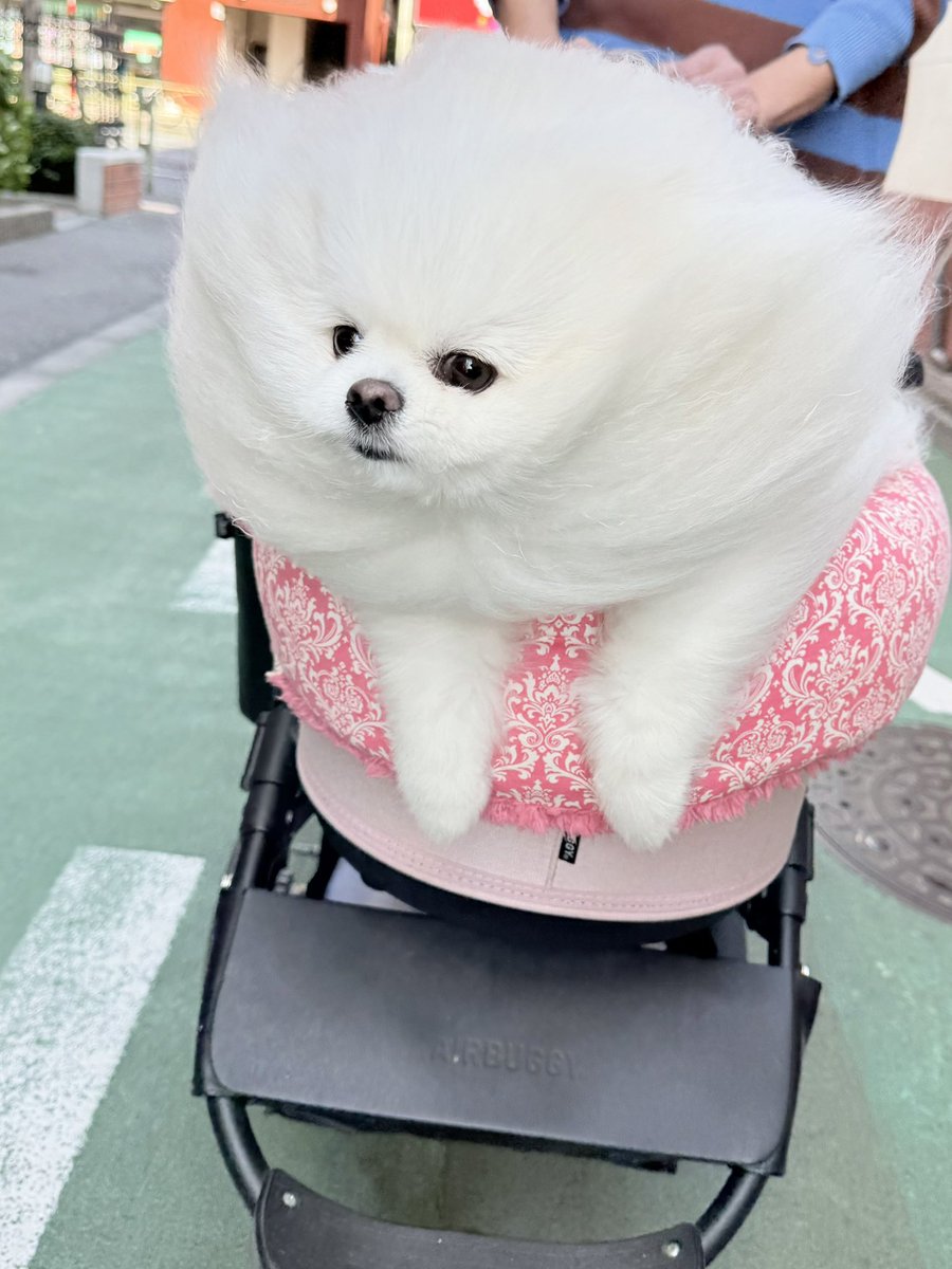 本日の強風シリーズ1！
