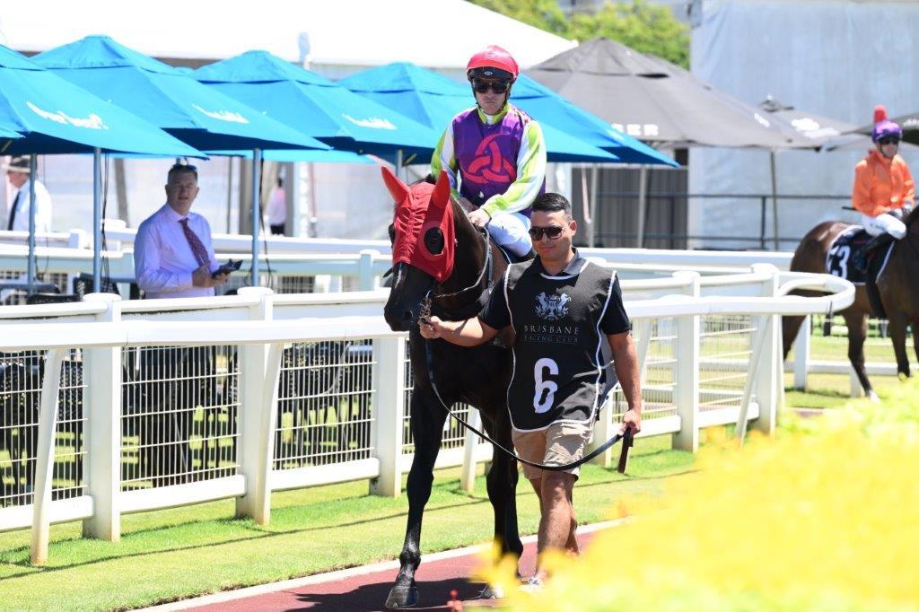 tonygollan's tweet photo. 💥TRACKSIDE WINNER OF THE WEEK 💥
Our #WinnerOfTheWeek presented by Trackside Photography is Martist.
Martist won the 2YO Hcp over 1200m at Doomben on Saturday ridden by Ryan Maloney & strapped by Fernando Pedraza Gallo. https://t.co/jkA8FiDLZX