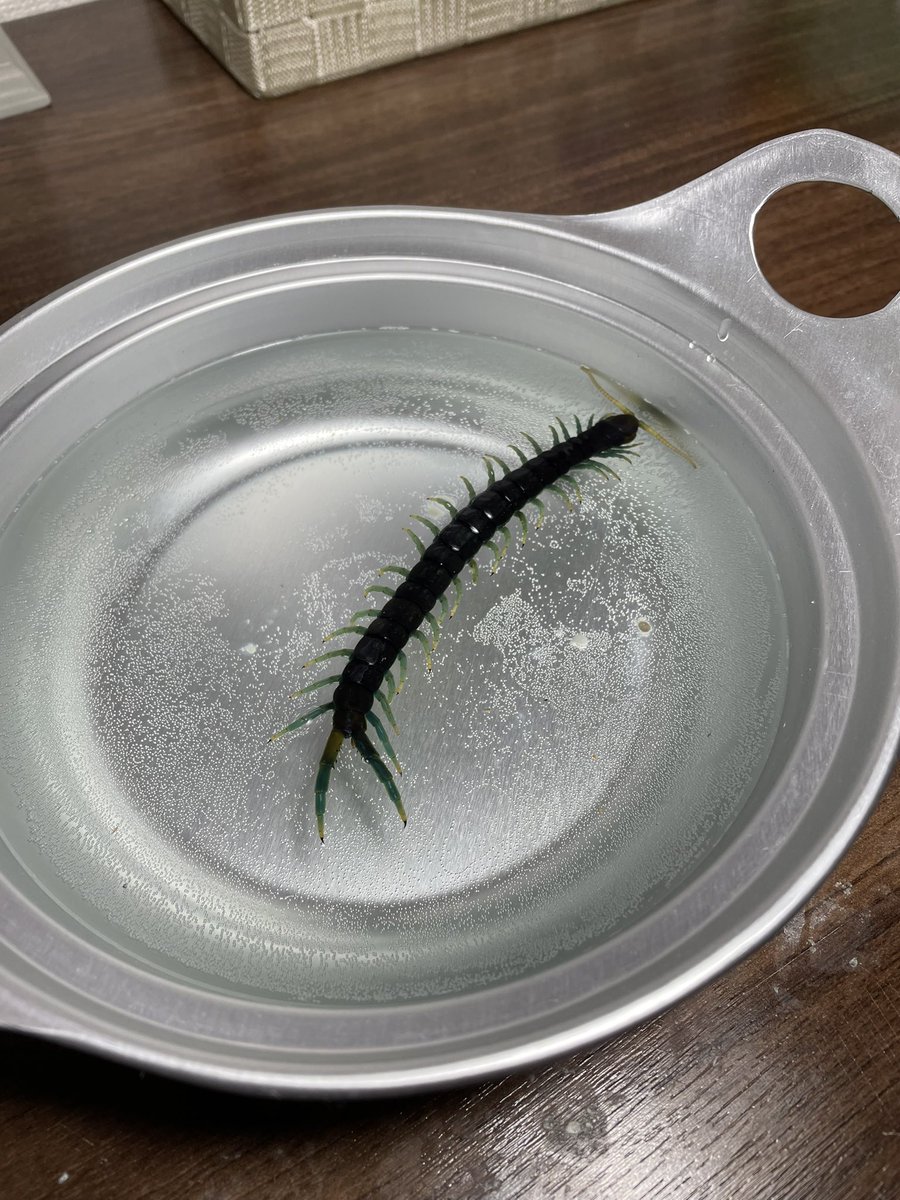 師岡雅史 tweet media