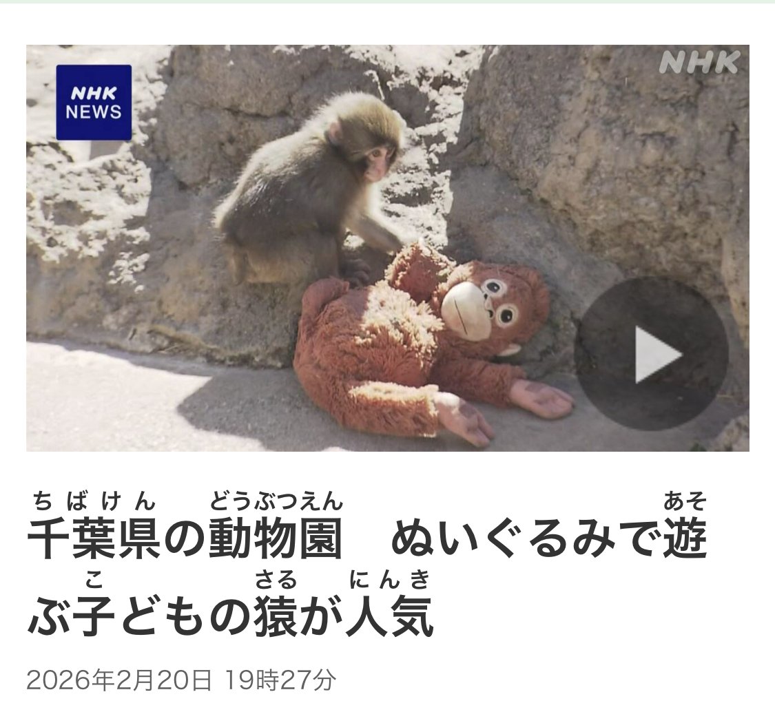 Googleで「パンチくん」を検索したら、パンチくんが降ってきた！ 今日