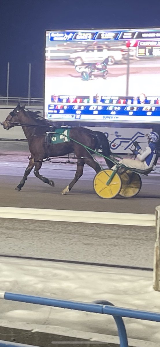 Renata Lumsden tweet media