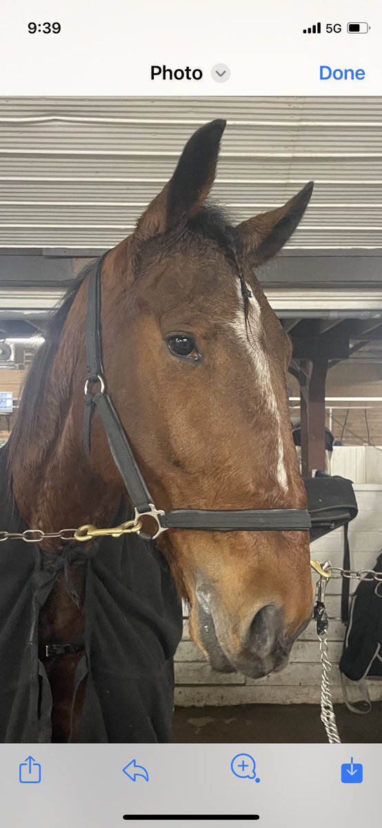 Renata Lumsden tweet media