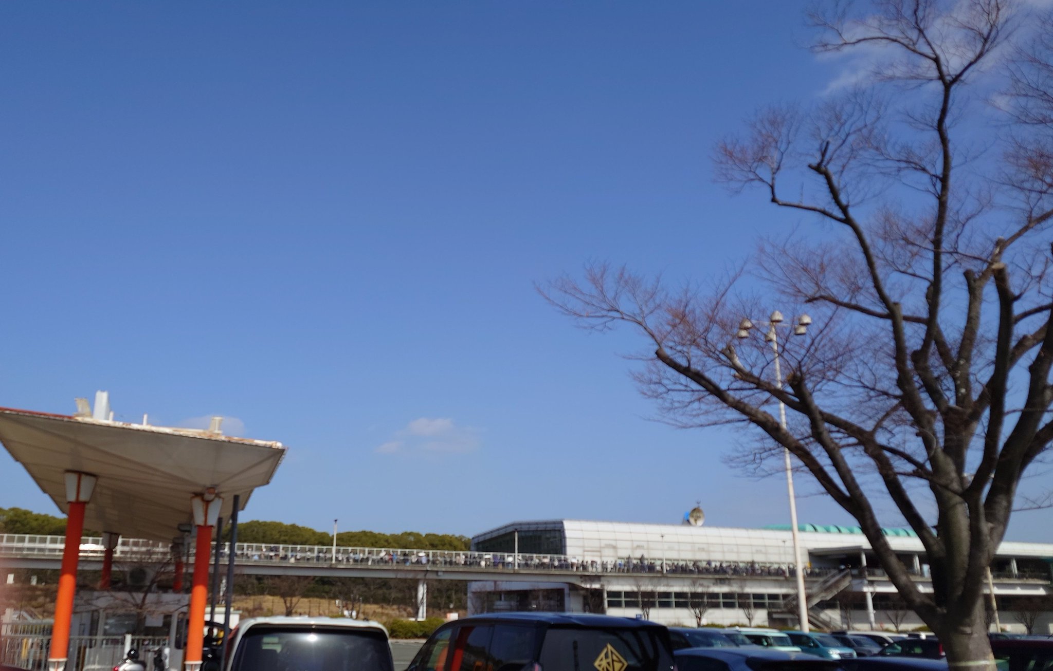 公の場での発言・インタビュー報道記録