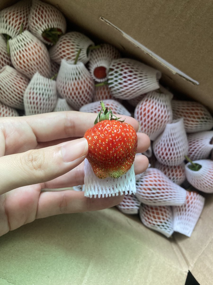 (t½) ’99🤳🏻-slow! tweet media