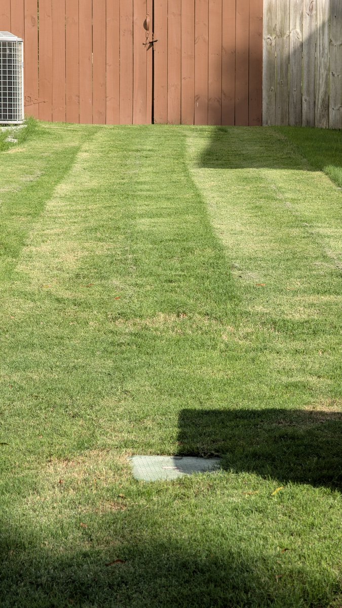 Pcutter98's tweet photo. @spotted_model I had issues with my dual blade Ego. It would not cut level. Went back to my old single blade to get a level cut. Otherwise, I like and use their equipment. https://t.co/McwIYq6CzX