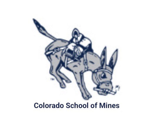 Dominic Marks tweet media