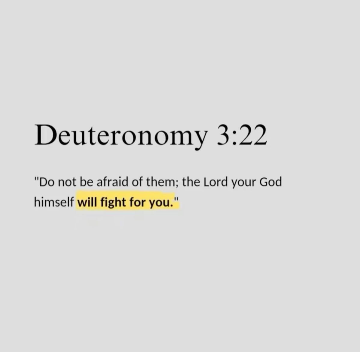 Holy Bible tweet media