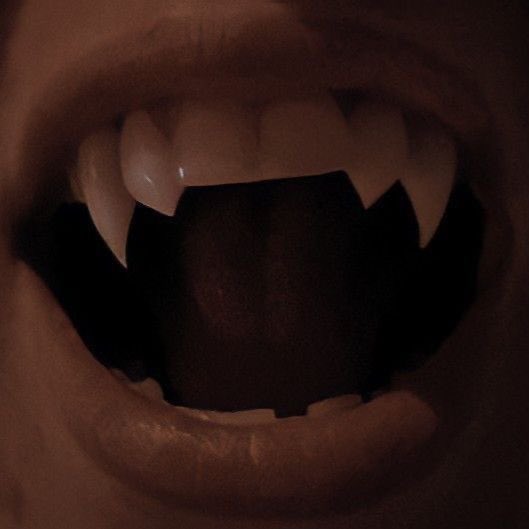 Nix 🏒 tweet media