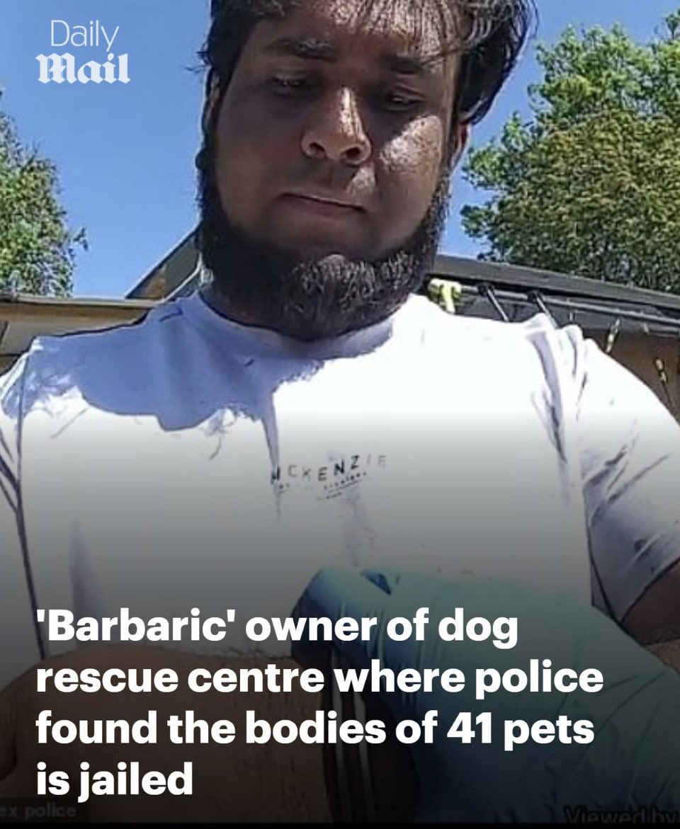 Lozzy B 🇦🇺𝕏 tweet media