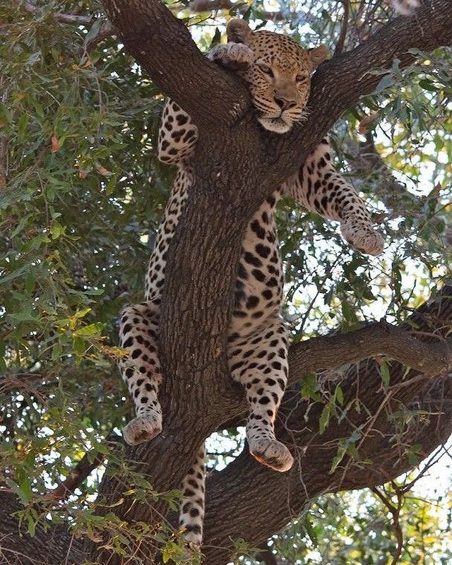 もう狩りとか
どうでもいいや…