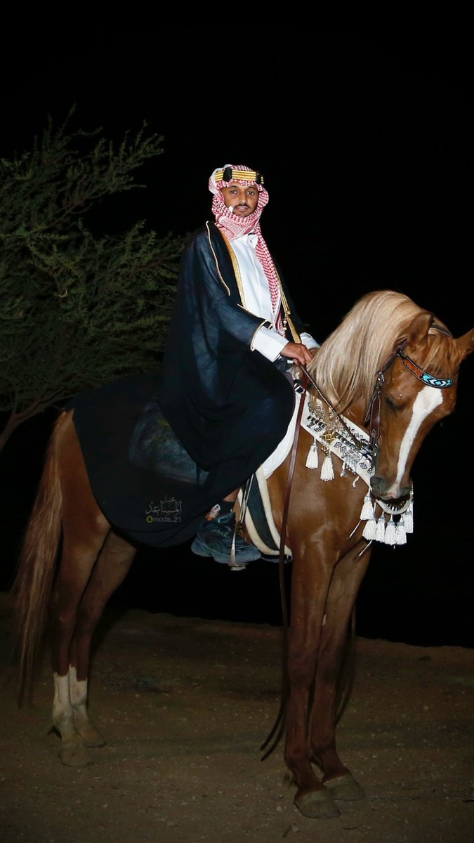 mmdlmsd11's tweet photo. مشاركتي يوم التأسيس 🇸🇦
هو يوم نفخر فيه بجذورنا وبداية دولتنا عام 1727م على يد الإمام محمد بن سعود، يوم يذكّرنا إن هذا الوطن ما جاء صدفة… جا على تاريخ، كفاح، ورجال صنعوا المجد
#يوم_التاسيس #المجمعة #بلدية_المجمعة #خيل #وادي_المشقر https://t.co/eUDjChayYJ