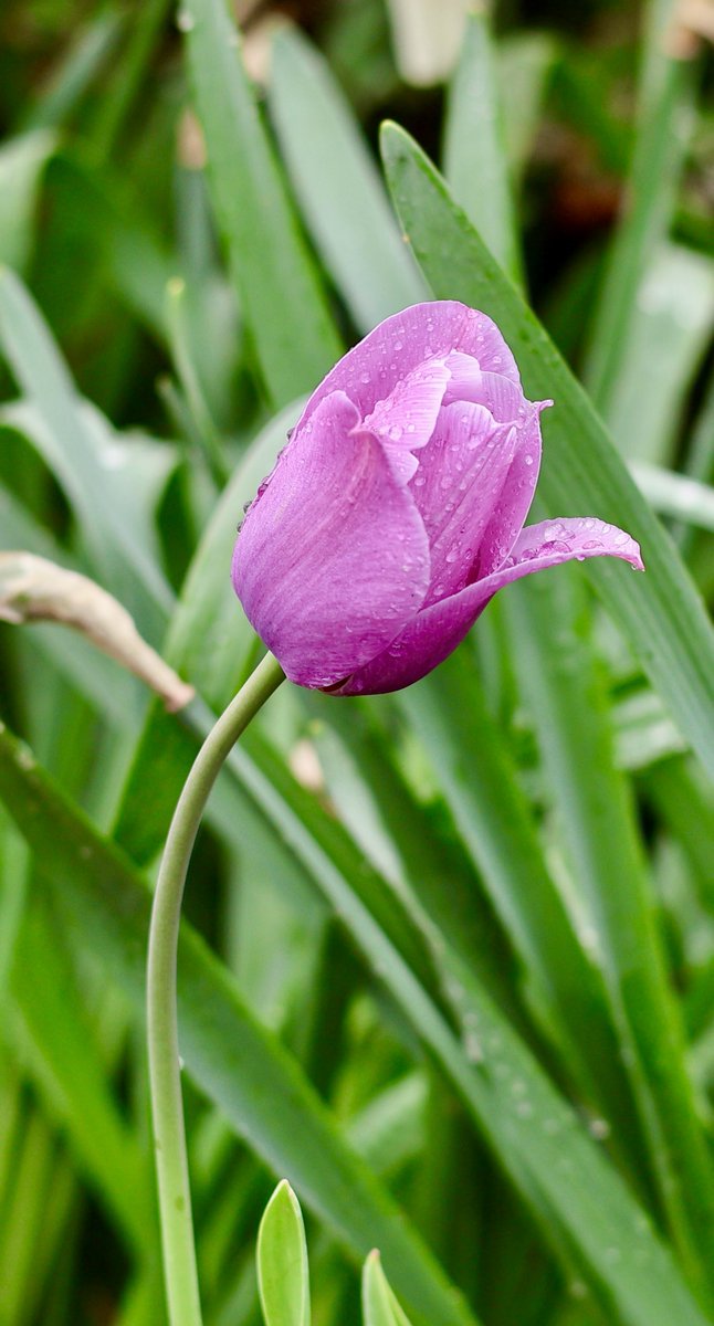 itsme_krrishm's tweet image. Some days you need a reminder to keep your head down, your goals high, and move in silence. Not everything needs an audience. 

#HappyMonday 
#KrrishClick