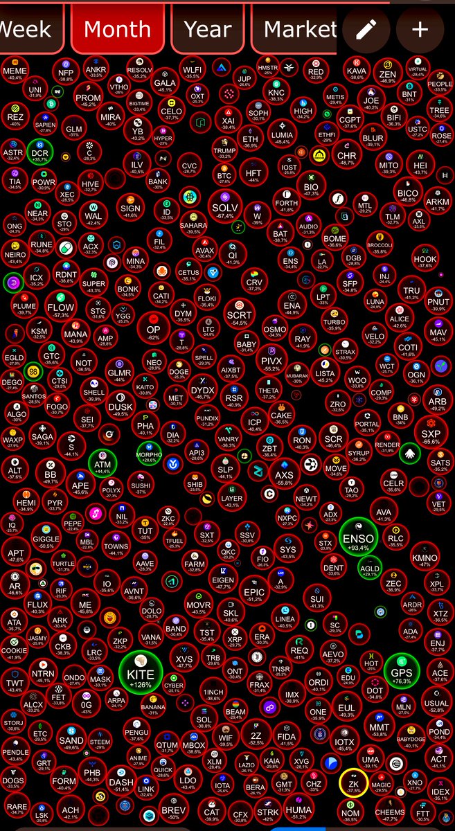 Solo Top tweet media