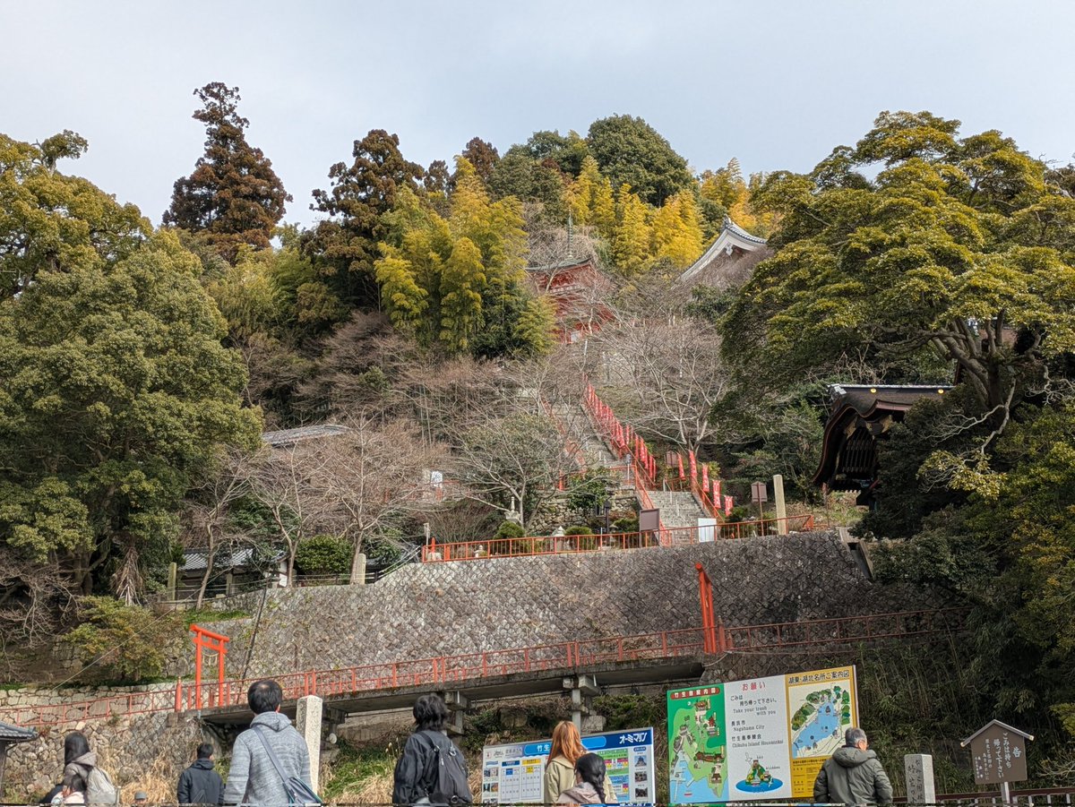 SS 通信屋@ tweet media