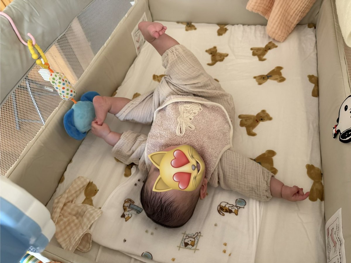 ハリキリ虫 tweet media