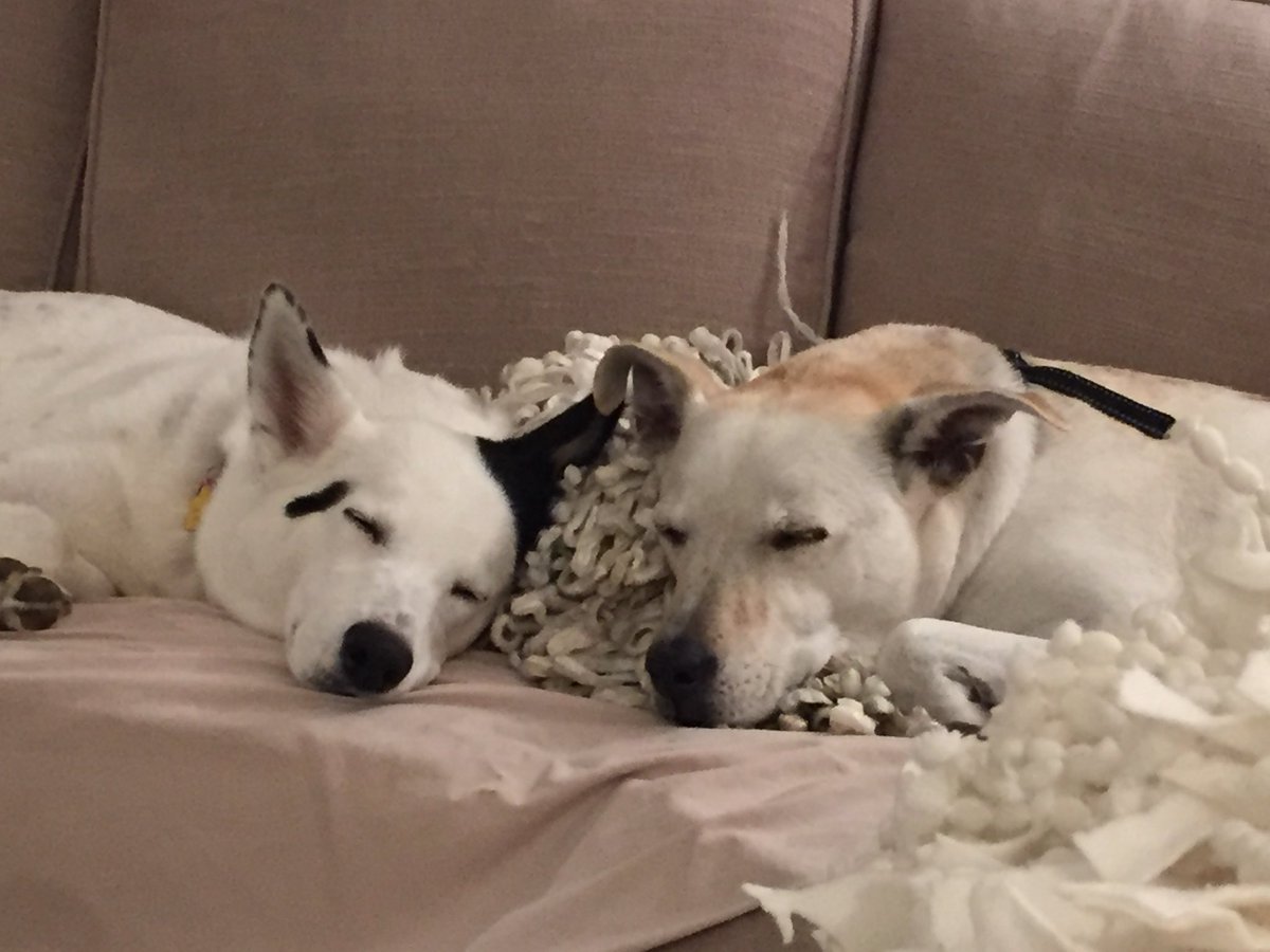 Remember The Fallen tweet media