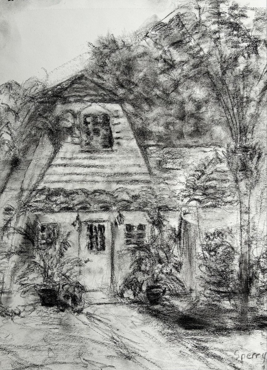 CatherineAnneCS's tweet photo. Charcoal - Bonita Springs, FL https://t.co/ibcpUmjuC9